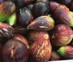 Инжир от кашля