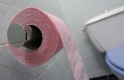 Лечение поноса (диареи) народными средствами