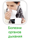 Симптомы и лечение заболеваний органов дыхания народными средствами