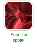 Симптомы и лечение заболеваний крови народными средствами