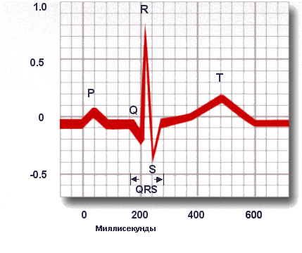ЭКГ