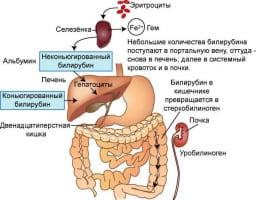 Уробилиноген в моче