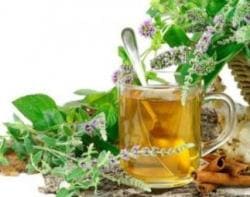 Травы от бронхита