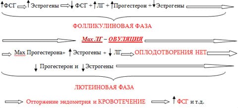 Нарушение менструального цикла Нарушение менструального цикла