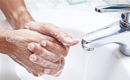 Дизентерия (шигеллез) Дизентерия (шигеллез)