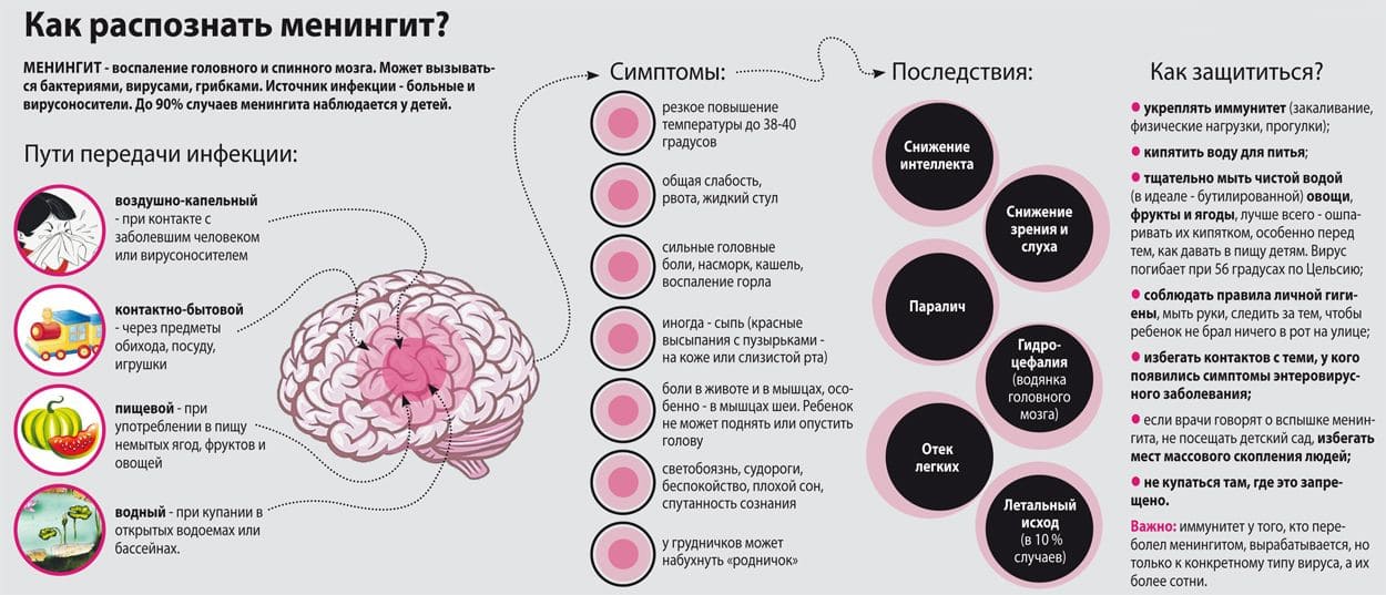 Менингококковая инфекция Менингококковая инфекция