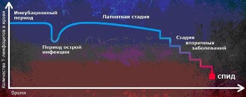 Синдром приобретенного иммунодефицита (СПИД)