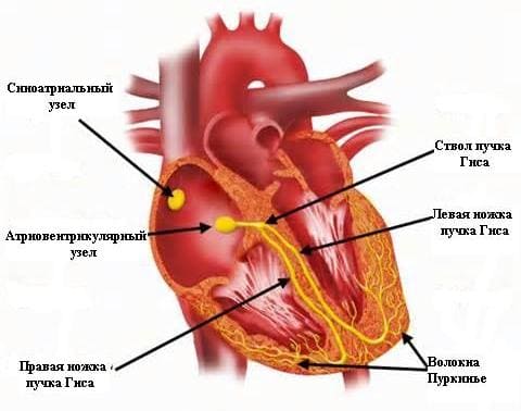 Как похудеть с маленького веса на 5 кг