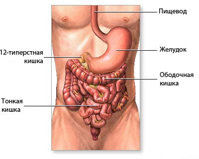 Расстройство желудка