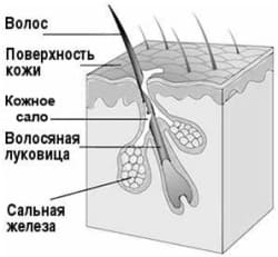 Кожные симптомы