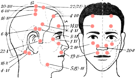 Акупунктурные точки на голове и лице Акупунктурные точки на голове и лице