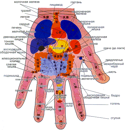 Акупунктурные точки на ладони левой руки Акупунктурные точки на ладони левой руки