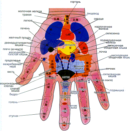 Акупунктурные точки на ладони правой руки Акупунктурные точки на ладони правой руки