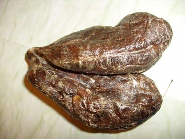 Бобровая струя (бобровый мускус лекарственный)