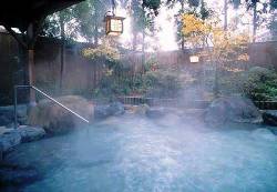 Радоновые ванны